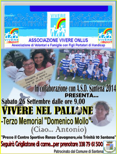 ViverenelPallone2015